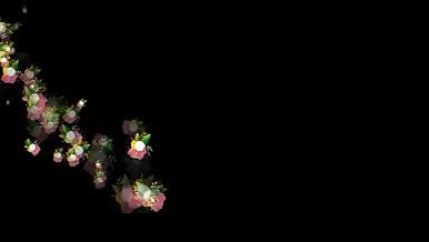 5种带通道水彩花飞舞视频素材视频的预览图
